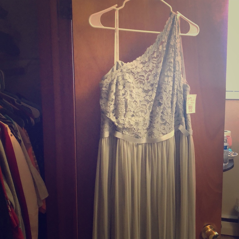 David’s Bridal gown . Size 20